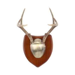 Allen EZ Horn Mounting Kit with Hardwood Plaque